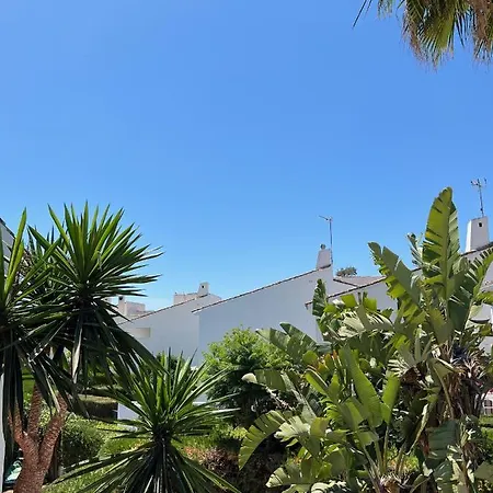 Villa Vibrant Vacation San Pedro Oasis *